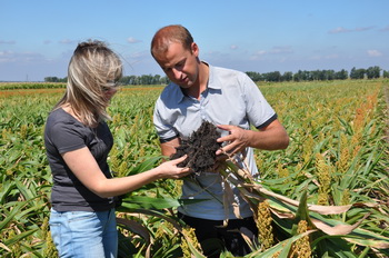 crop growing project