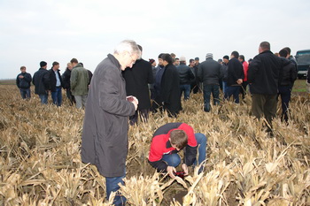 Школа растениеводства